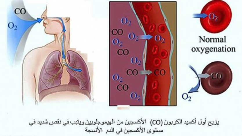 تسمى المعادن المحتوية على الأكسجين والسليكون وعنصر آخر أو أكثر: