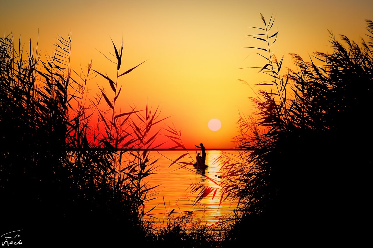 صورة