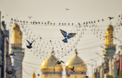 العتبة الكاظمية المقدسه