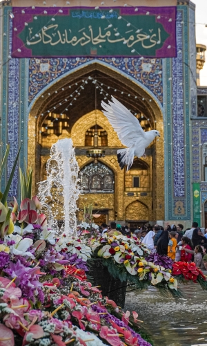 العتبة الرضوية المقدسة 