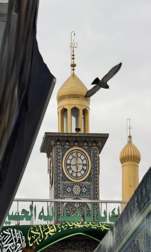 في ظِلِّكُم تُغسَلُ الأيّامُ مِنْ وَجَعٍ يا آلَ طه، مَهوى الأرواحِ والمُهَجِ