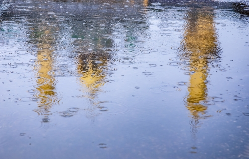  السلام عليك يا ساقي عطاشى كربلاء ،