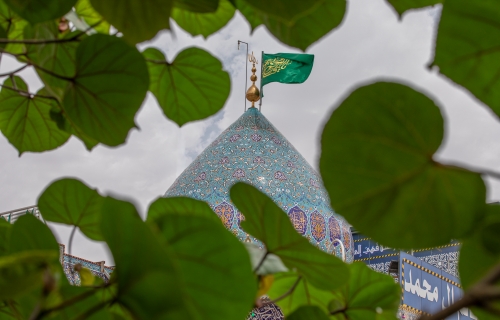 السَّلامُ عَلَيكَ يا خَلِيفَةَ اللهِ وَناصِرَ حَقِّهِ
